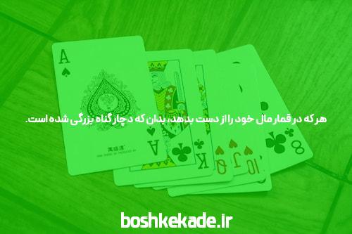 نحوه ارتقاء حساب کاربری در اینستاگرام: راهی برای جذب فالوورهای بیشتر
